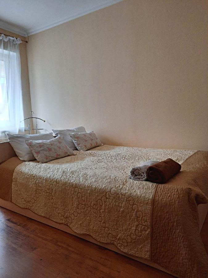 Apartment In The Historical City Center Černovice Exteriér fotografie