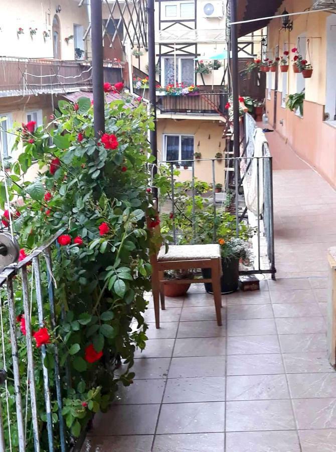 Apartment In The Historical City Center Černovice Exteriér fotografie